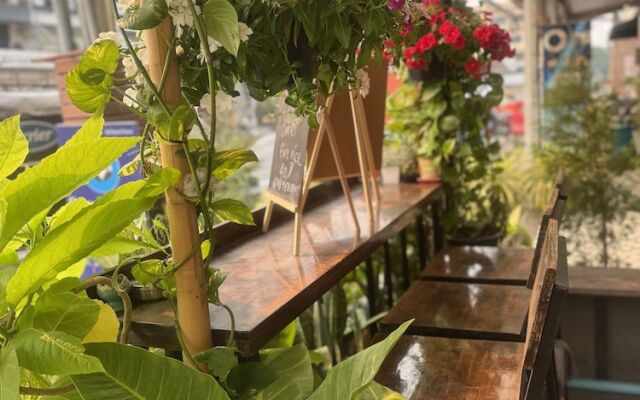Chiangmai Panda Hostel 2
