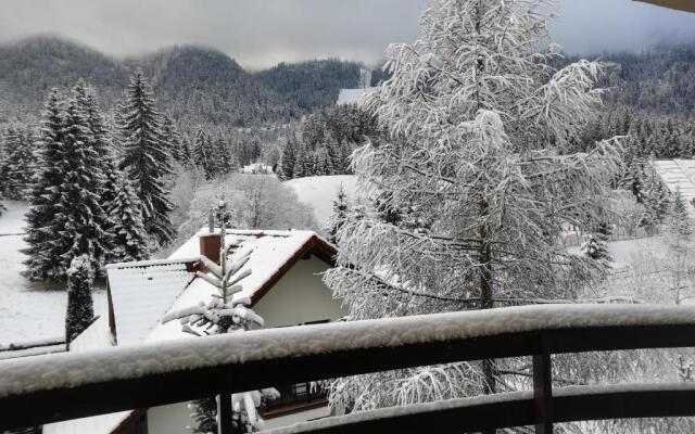 Riba House Poiana Brașov