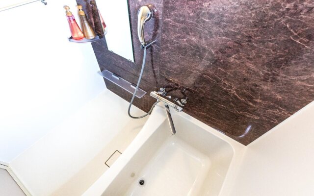 Mr.KINJO GOLDEN CATS