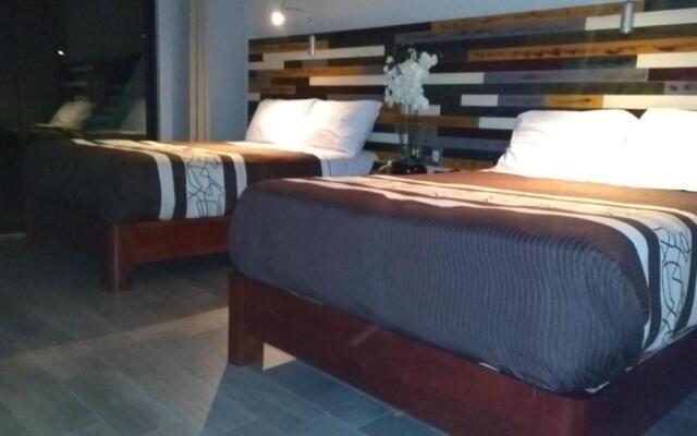 Hotel Suites Don Miguel
