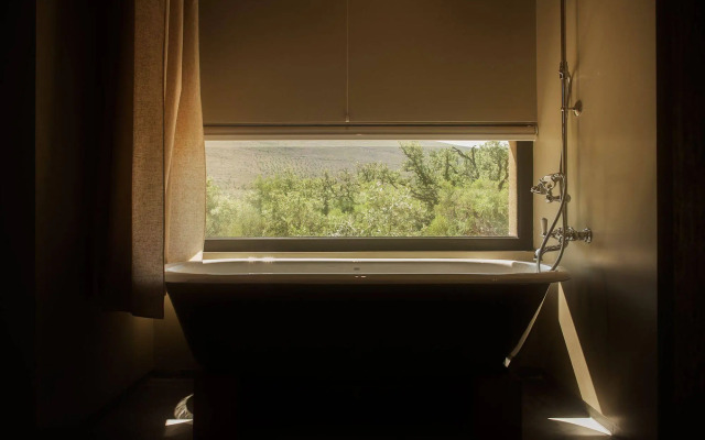 Cooking and Nature Emotional Hotel