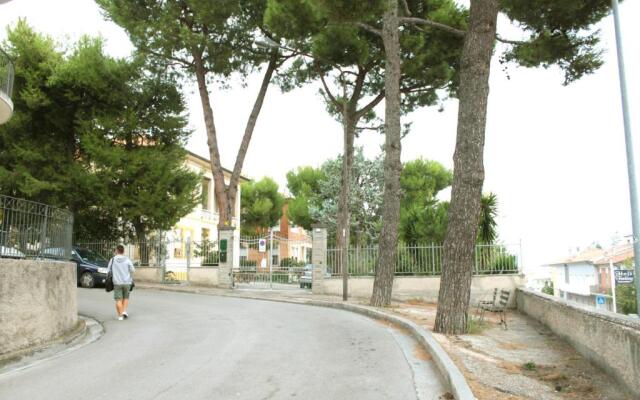 Pino Marittimo
