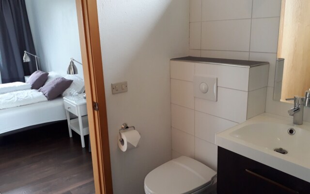 Guesthouse Geldingaholt