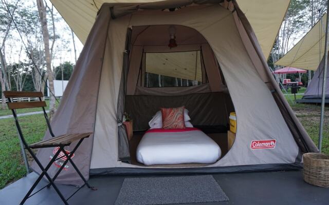 Singha Park Chiang Rai Camping