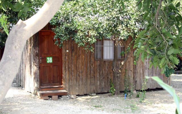 Saban Tree Houses