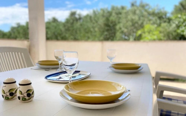 Žare - With Garden - A1