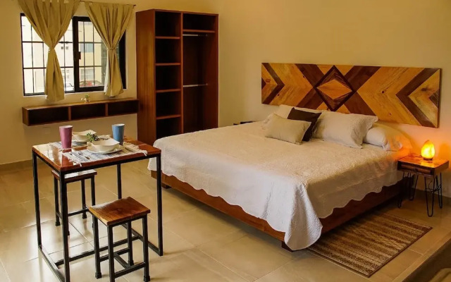 Stay Tropical Downtown Studios