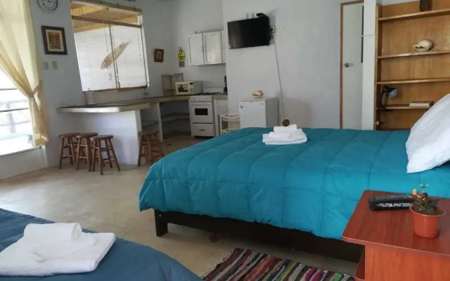 Bamboo Huanchaco Lodge