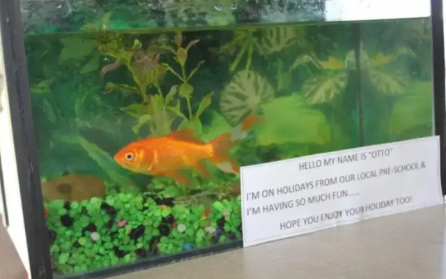 Reflections Bermagui - Holiday Park