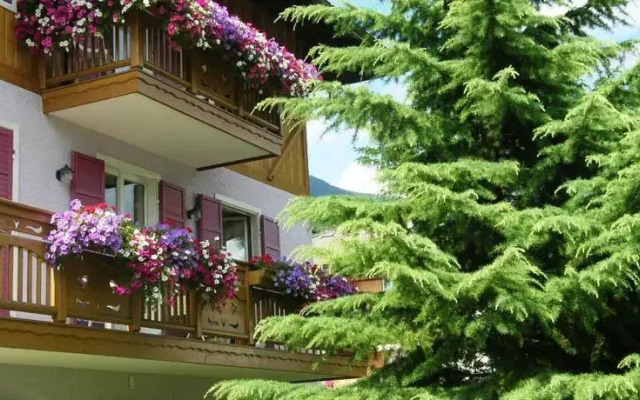Bed And Breakfast Cristina