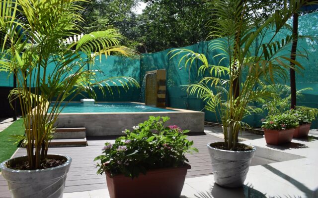 Marine Garden Studios