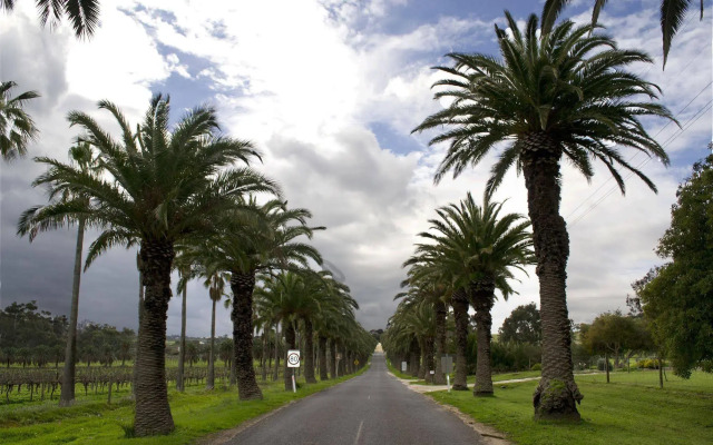 Seppelts View Cabins