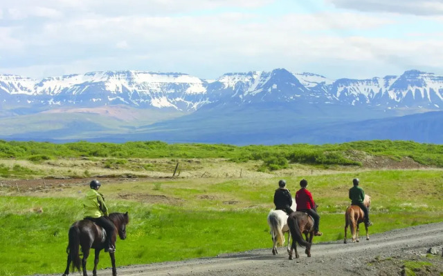 Hestaland Guesthouse Horse Farm Stay