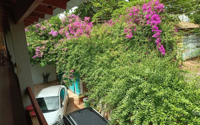 Alpha Hospedaria & Hostel