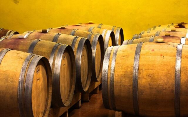 Eco Bio Agriturismo La Bella Vite - Camere Con Vigna