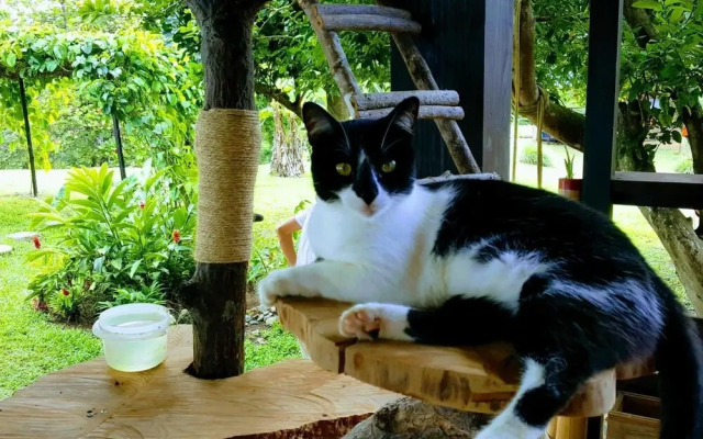 El Caribeo - Nature Lodge