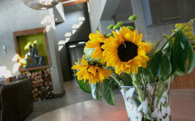 Infinity View Boutique Guest House