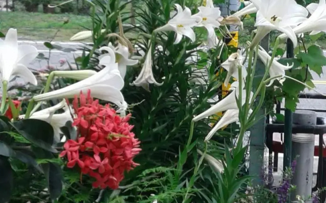 Taitung Linyuan B&B