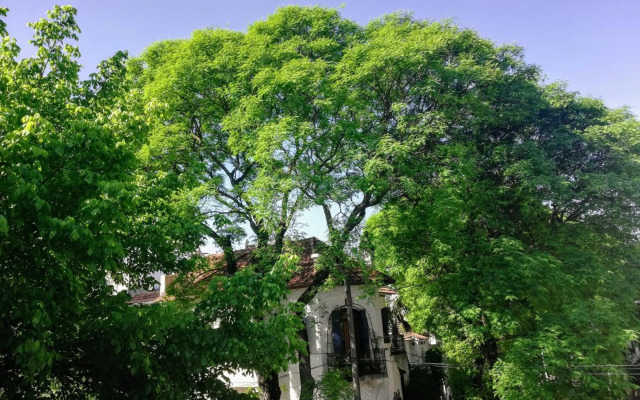 Private Room in Beautiful Home