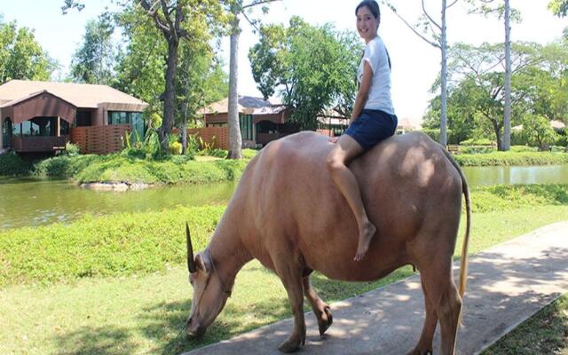 Wishing Tree Resort, Khon Kaen