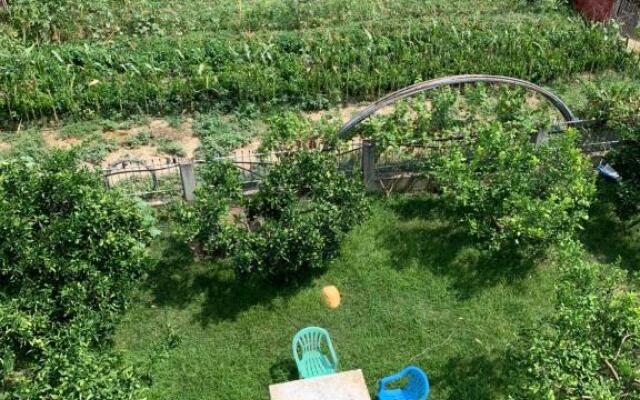 Agro BnB Elbasan