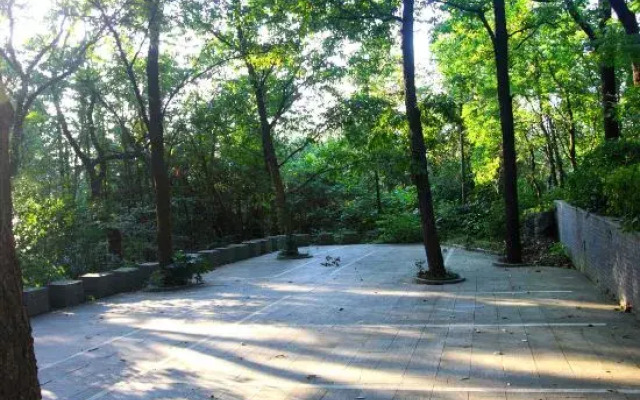 Maoshan · Zhidao Forest Hot Spring Home stay