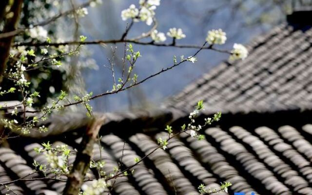 Yunfuli Yunsu·Yidao Qingcheng·camping Mountain Private Hot Spring B&B