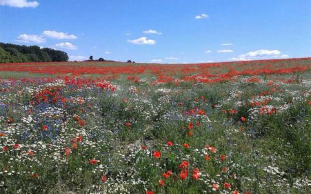 Ferienhaus Warthe USE 1771