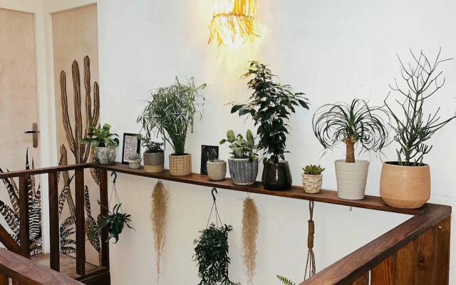 Guest House Folk Inn