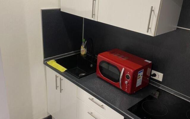 Апартаменты на улице Льва Толстого 13