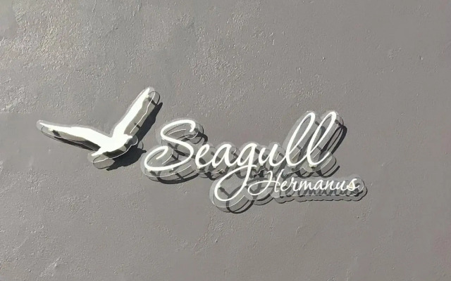 The Seagull Hermanus