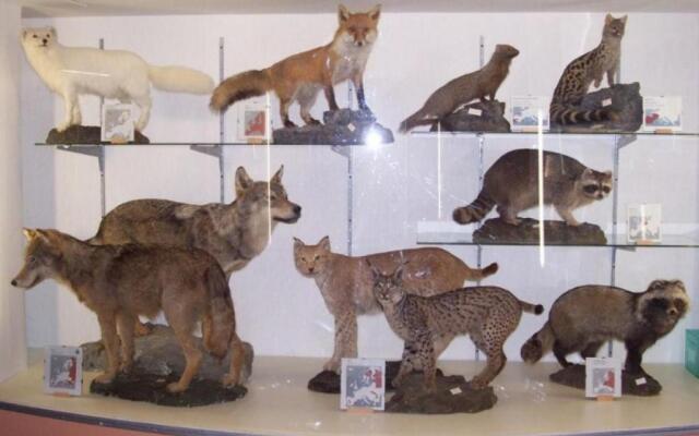 BabbaroHouse - casa vacanza