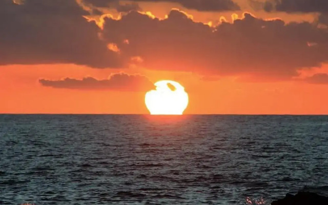 Bravo´s Aparment Cotillo 2