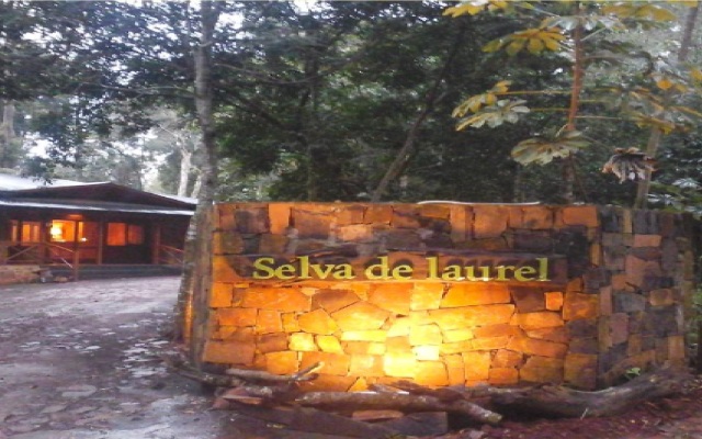 Selva de Laurel