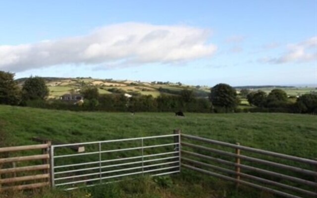 Hawk and Buckle Inn