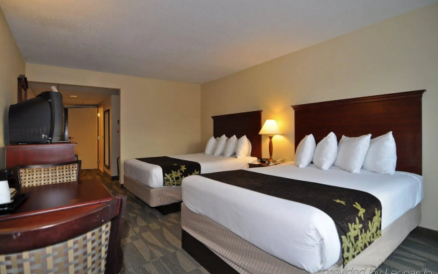 Gold Leaf Hotel of Dewey - Rehoboth Beach