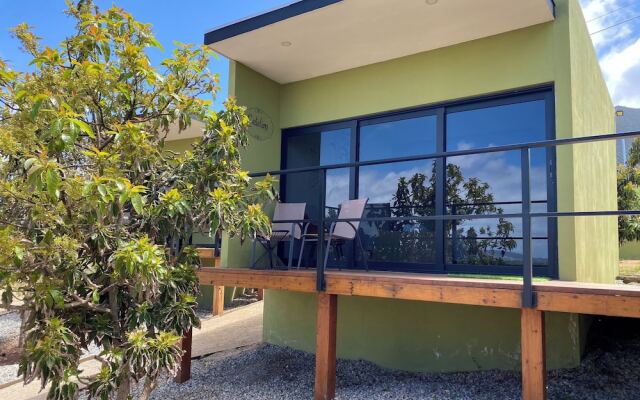 Palta 60 Valle de Guadalupe