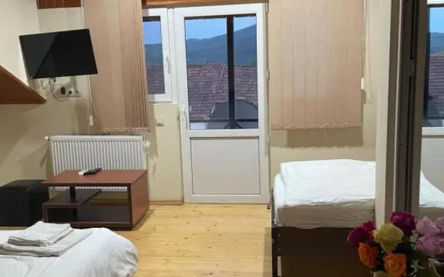 Mtskheta Wellpoint Arsukidze 48