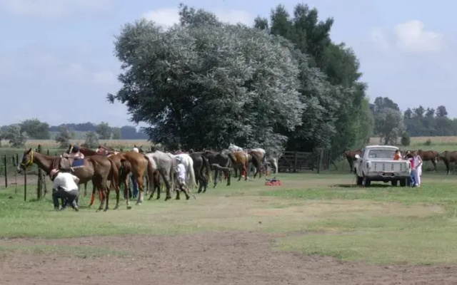 El Paraíso Polo y Naturaleza