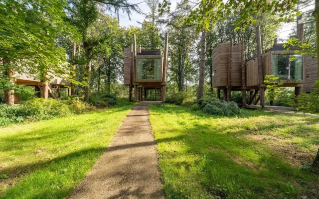 Stylish Retreat With Sauna