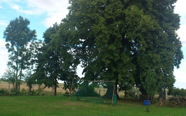 Spacious Apartment With Terrace Zur Forelle