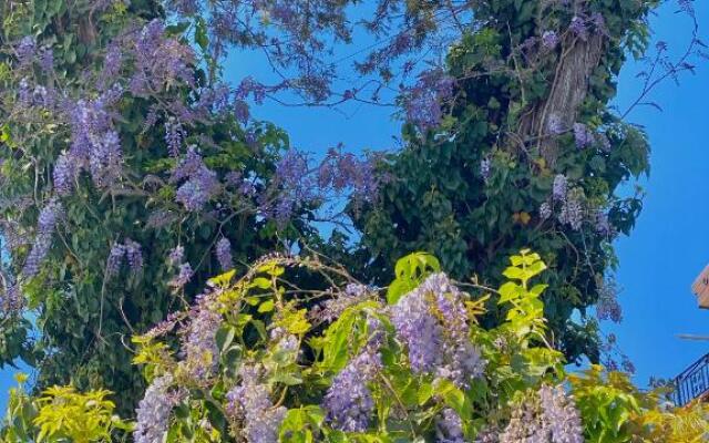 Appartamento "Il Glicine"