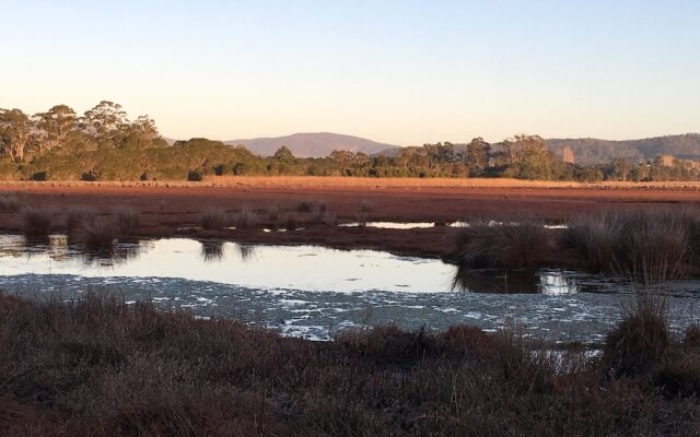 Idlewilde Country & Town Motorinn