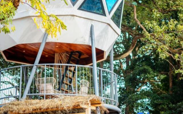 Tree Frog Resort Hotel
