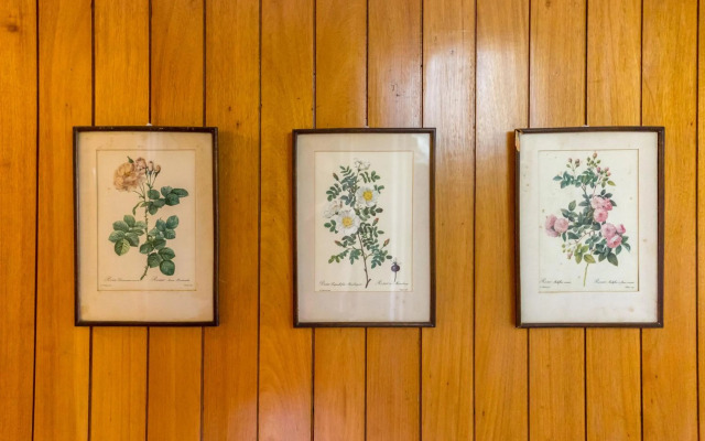 Pasteleira Relaxing Apartment