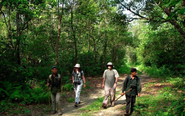 Royal Tiger Safari Resort