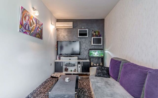 Cool Cozy Apartment