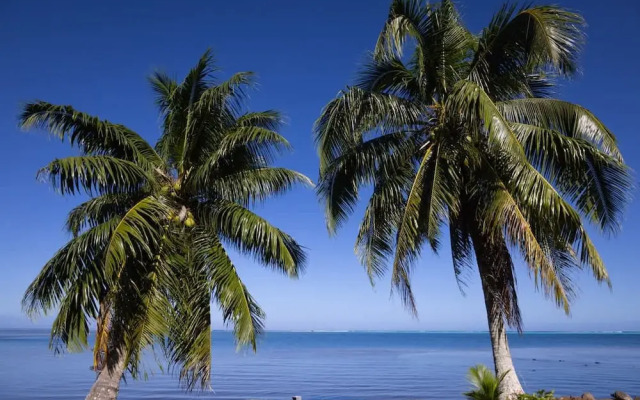 Fare Miri Miri in Moorea-maiao