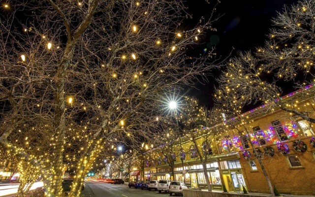 Mulberry Place: a Charming Cottage Near Old Town!