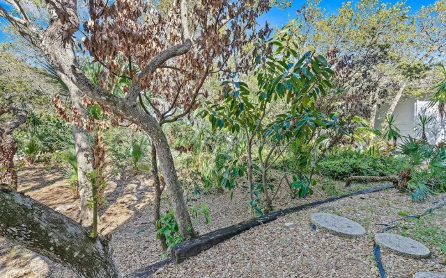 Sea Woods 123